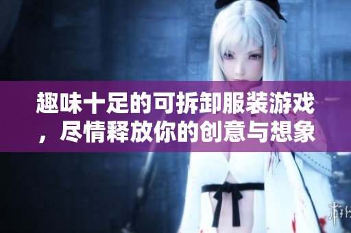 趣味十足的可拆卸服装游戏，尽情释放你的创意与想象力