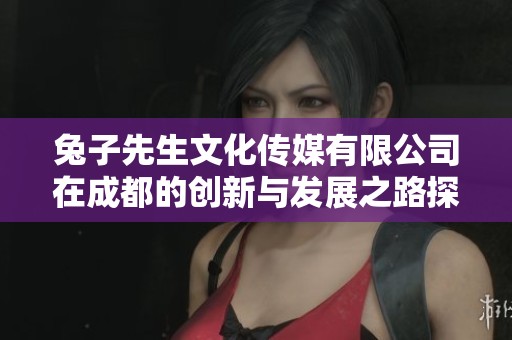 兔子先生文化传媒有限公司在成都的创新与发展之路探讨