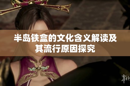 半岛铁盒的文化含义解读及其流行原因探究
