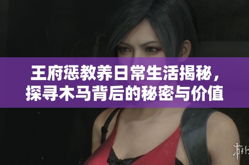 王府惩教养日常生活揭秘，探寻木马背后的秘密与价值