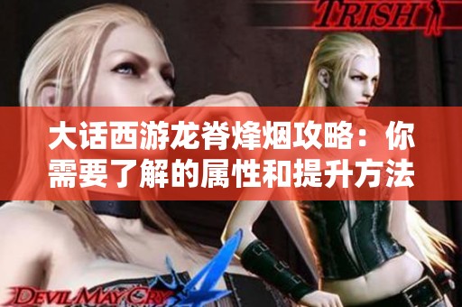 大话西游龙脊烽烟攻略：你需要了解的属性和提升方法