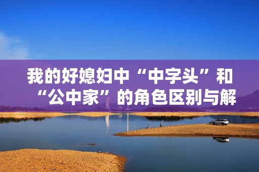 我的好媳妇中“中字头”和“公中家”的角色区别与解析