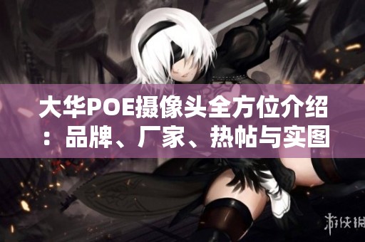 大华POE摄像头全方位介绍：品牌、厂家、热帖与实图分享