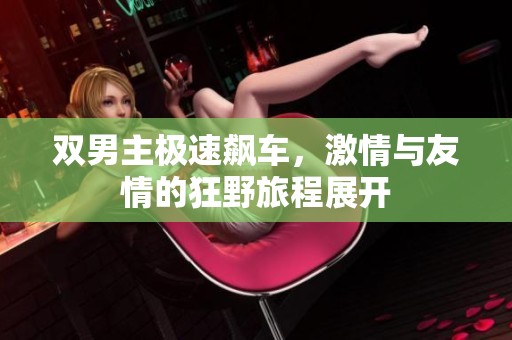 双男主极速飙车，激情与友情的狂野旅程展开