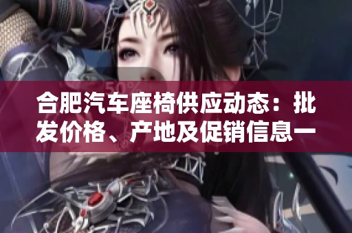 合肥汽车座椅供应动态：批发价格、产地及促销信息一览