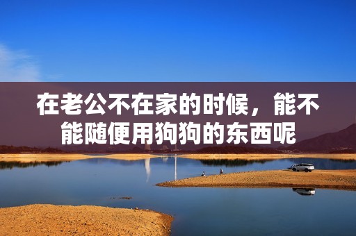 在老公不在家的时候，能不能随便用狗狗的东西呢