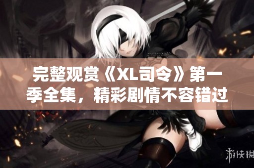 完整观赏《XL司令》第一季全集，精彩剧情不容错过