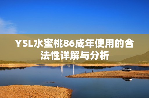 YSL水蜜桃86成年使用的合法性详解与分析