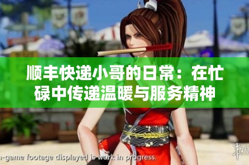 顺丰快递小哥的日常：在忙碌中传递温暖与服务精神
