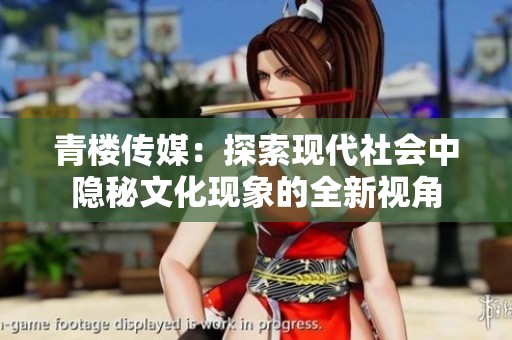 青楼传媒：探索现代社会中隐秘文化现象的全新视角