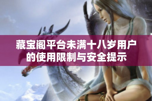 藏宝阁平台未满十八岁用户的使用限制与安全提示
