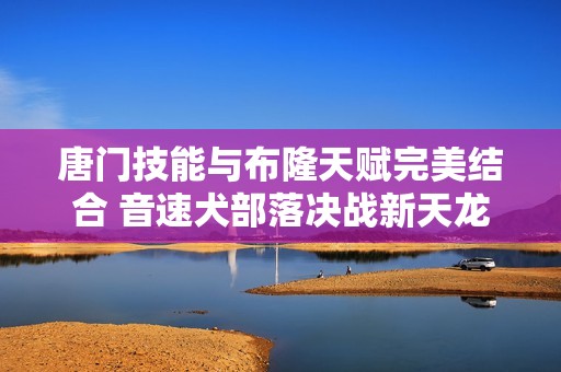 唐门技能与布隆天赋完美结合 音速犬部落决战新天龙八部