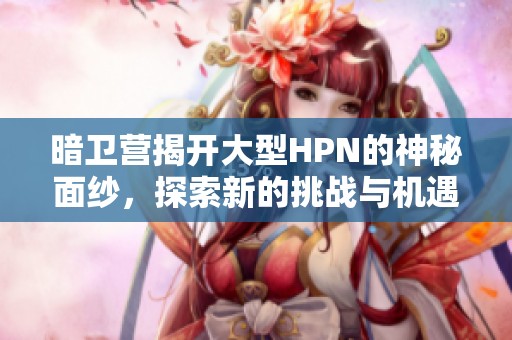 暗卫营揭开大型HPN的神秘面纱，探索新的挑战与机遇