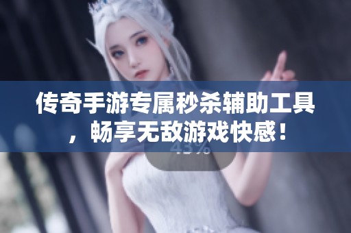 传奇手游专属秒杀辅助工具，畅享无敌游戏快感！