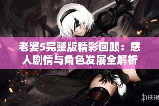 老婆5完整版精彩回顾：感人剧情与角色发展全解析