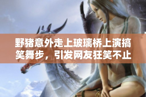 野猪意外走上玻璃桥上演搞笑舞步，引发网友狂笑不止