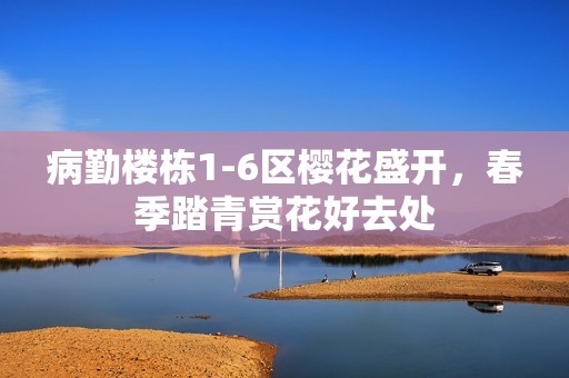 病勤楼栋1-6区樱花盛开，春季踏青赏花好去处