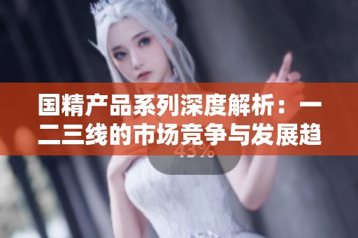 国精产品系列深度解析：一二三线的市场竞争与发展趋势