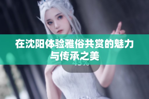 在沈阳体验雅俗共赏的魅力与传承之美
