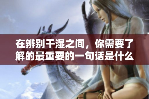 在辨别干湿之间，你需要了解的最重要的一句话是什么