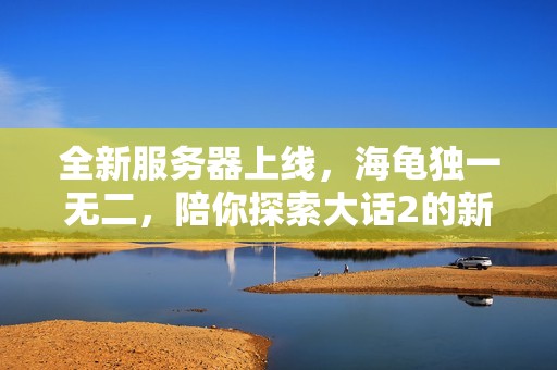 全新服务器上线，海龟独一无二，陪你探索大话2的新副本与周常挑战