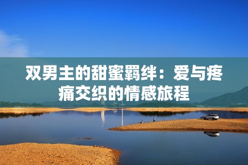 双男主的甜蜜羁绊：爱与疼痛交织的情感旅程
