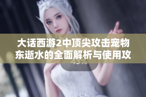 大话西游2中顶尖攻击宠物东逝水的全面解析与使用攻略