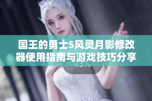 国王的勇士5风灵月影修改器使用指南与游戏技巧分享