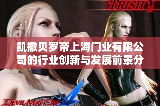 凯撒贝罗帝上海门业有限公司的行业创新与发展前景分析