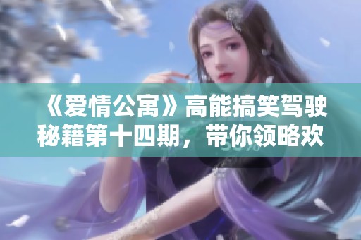 《爱情公寓》高能搞笑驾驶秘籍第十四期，带你领略欢乐驾驶之旅