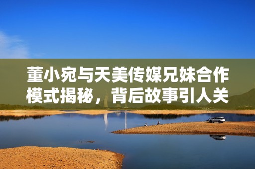 董小宛与天美传媒兄妹合作模式揭秘，背后故事引人关注