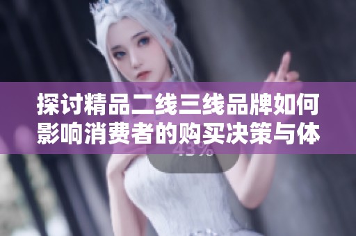 探讨精品二线三线品牌如何影响消费者的购买决策与体验