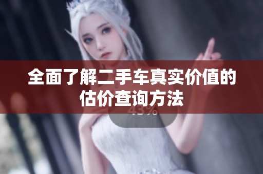 全面了解二手车真实价值的估价查询方法