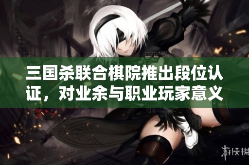 三国杀联合棋院推出段位认证，对业余与职业玩家意义何在？