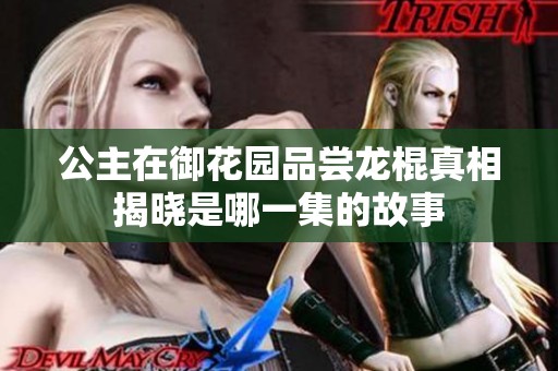 公主在御花园品尝龙棍真相揭晓是哪一集的故事