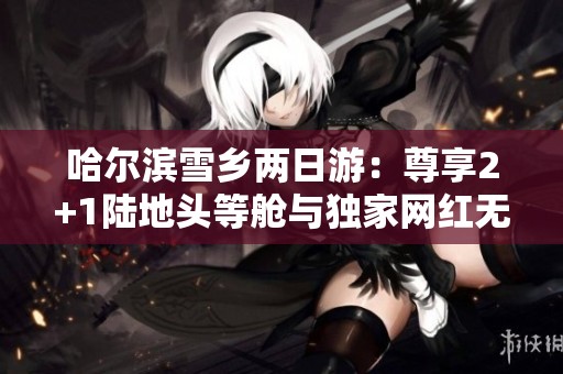 哈尔滨雪乡两日游：尊享2+1陆地头等舱与独家网红无人机体验