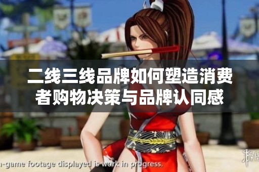 二线三线品牌如何塑造消费者购物决策与品牌认同感