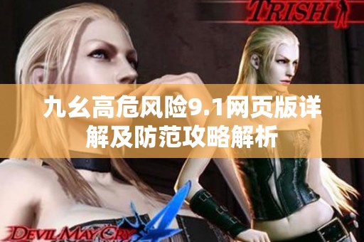 九幺高危风险9.1网页版详解及防范攻略解析