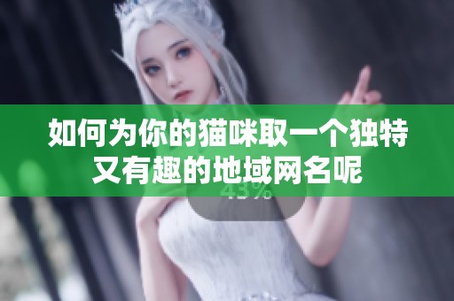 如何为你的猫咪取一个独特又有趣的地域网名呢