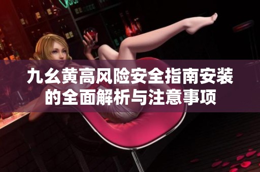 九幺黄高风险安全指南安装的全面解析与注意事项