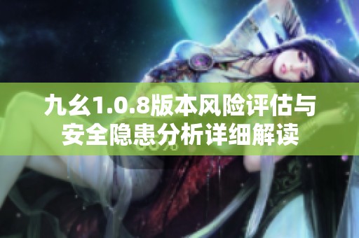 九幺1.0.8版本风险评估与安全隐患分析详细解读