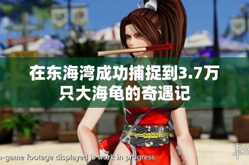 在东海湾成功捕捉到3.7万只大海龟的奇遇记