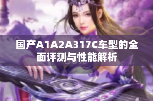 国产A1A2A317C车型的全面评测与性能解析