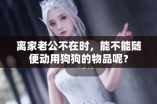离家老公不在时，能不能随便动用狗狗的物品呢？