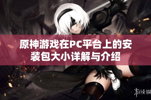 原神游戏在PC平台上的安装包大小详解与介绍