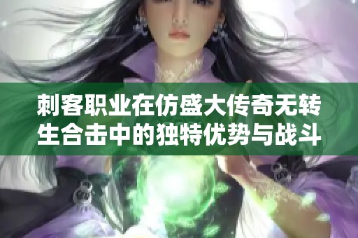 刺客职业在仿盛大传奇无转生合击中的独特优势与战斗策略解析