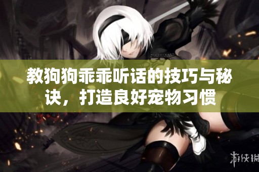 教狗狗乖乖听话的技巧与秘诀，打造良好宠物习惯