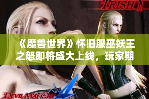 《魔兽世界》怀旧服巫妖王之怒即将盛大上线，玩家期待重温经典