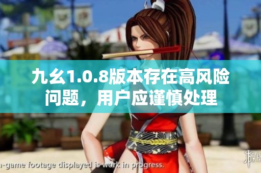 九幺1.0.8版本存在高风险问题，用户应谨慎处理
