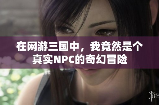在网游三国中，我竟然是个真实NPC的奇幻冒险